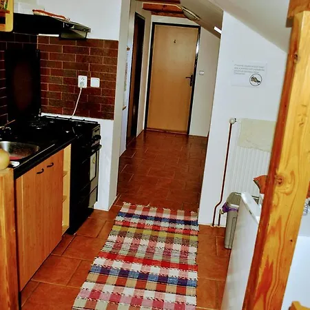 Zencuch Pensionat Drienica